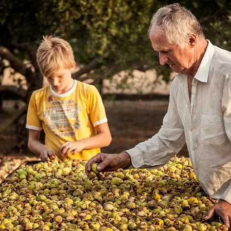 Lejlighed Solo Luxury Family App In Nature Park Ploce (Dubrovnik-Neretva)