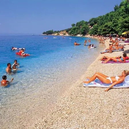 Solo Luxury Family App In Nature Park *