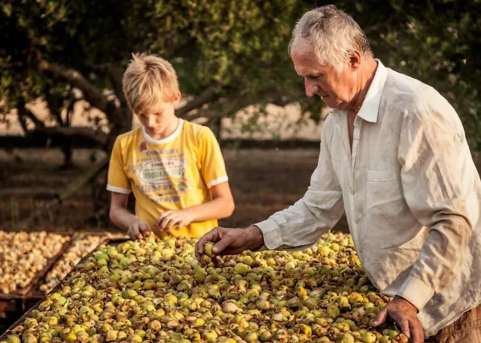 Apartment Solo Luxury Family App In Nature Park Ploce (Dubrovnik-Neretva)