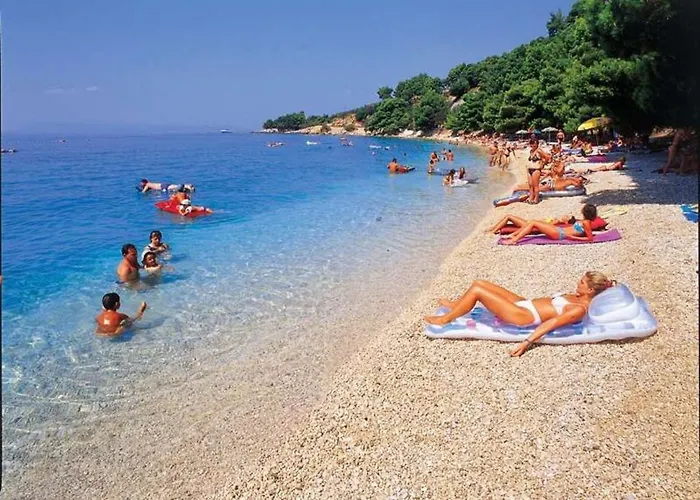 Solo Luxury Family App In Nature Park *